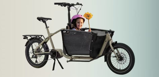 Warum sollten Sie sich für unsere E-Cargobikes entscheiden?
